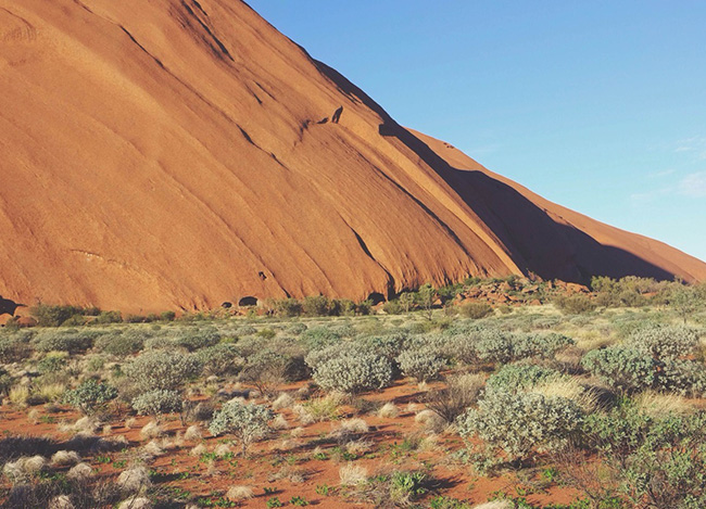 可以留电话的骚扰网站